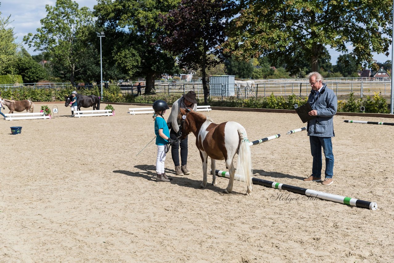 Bild 206 - Pony Akademie Turnier